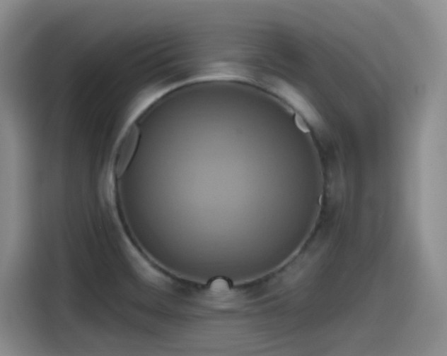 X0000115451468200911121144