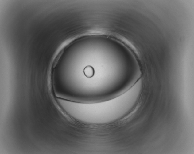 X0000115451469200911121144
