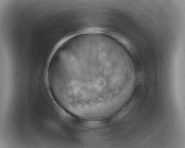 X0000115451470200911121144