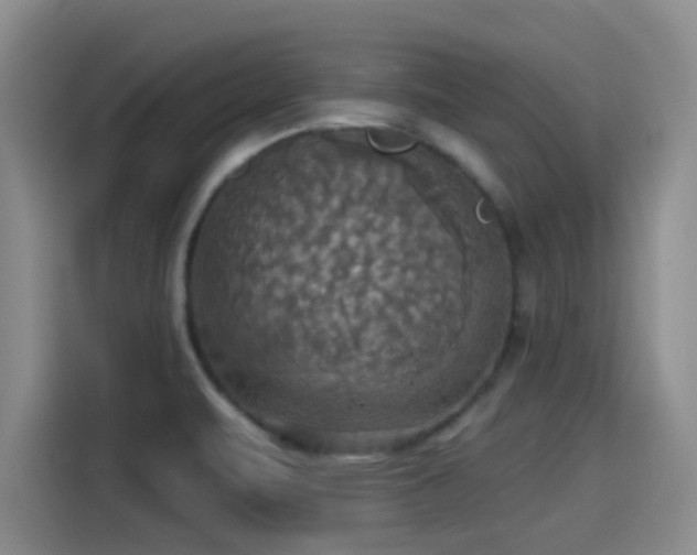 X0000115451471200911121144