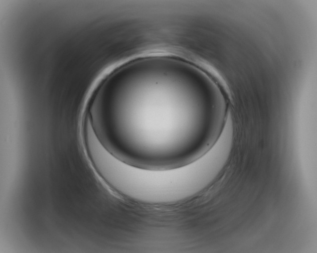 X0000115451472200911121144