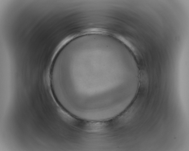 X0000115451474200911121144
