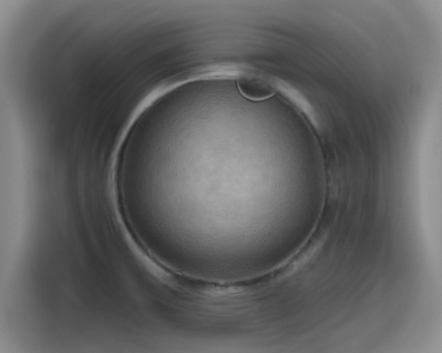 X0000115451475200911121144