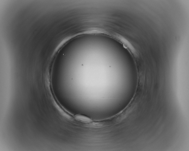 X0000115451476200911121144