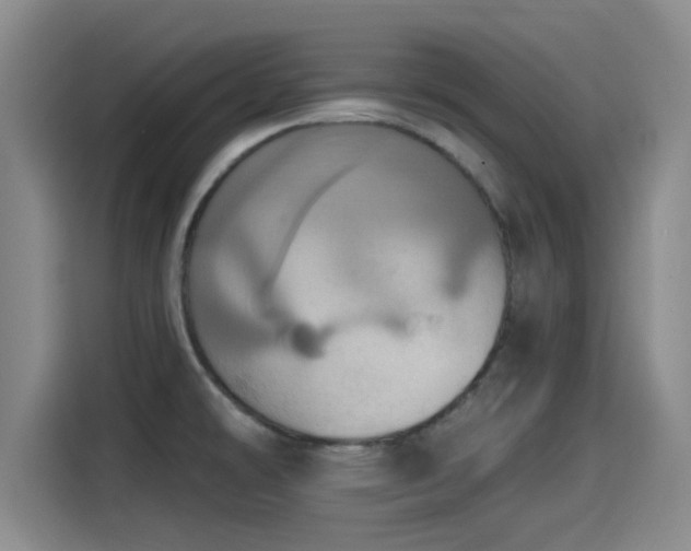 X0000115451478200911121144