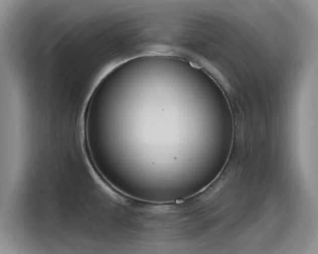 X0000115451479200911121144