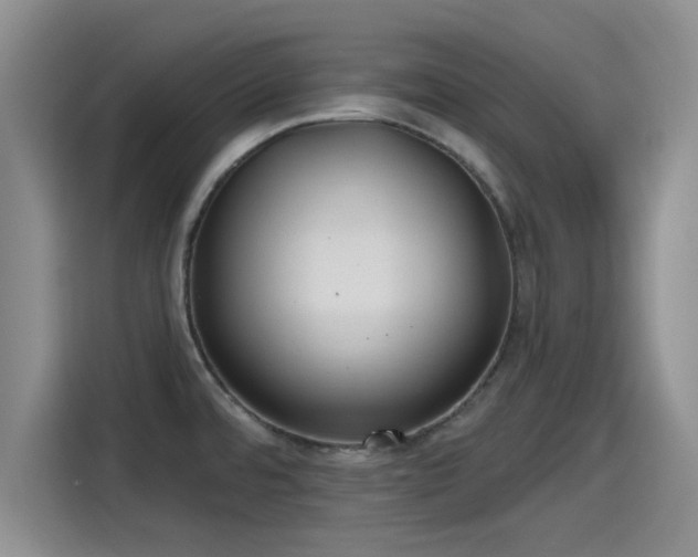 X0000115451480200911121144