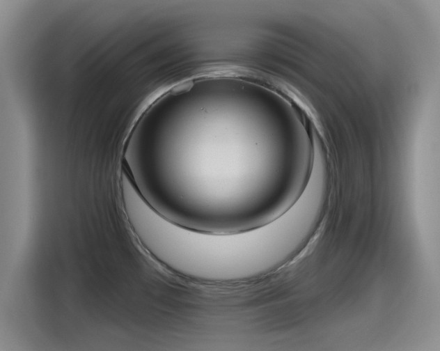 X0000115451481200911121144