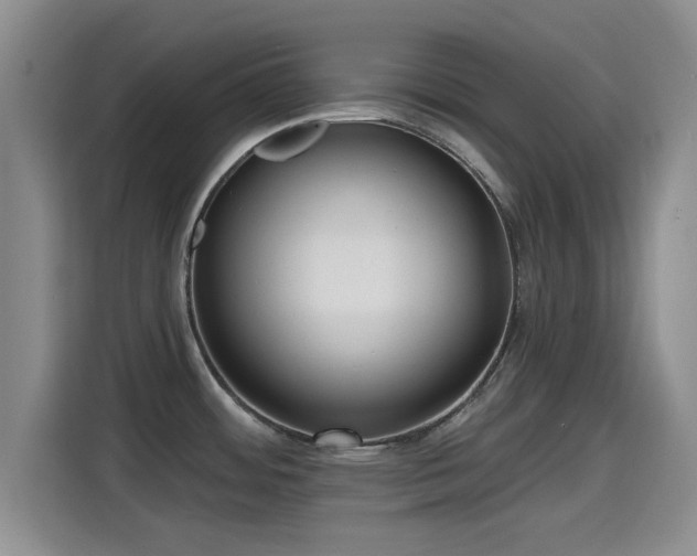 X0000115451484200911121144