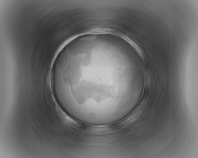 X0000115451486200911121144
