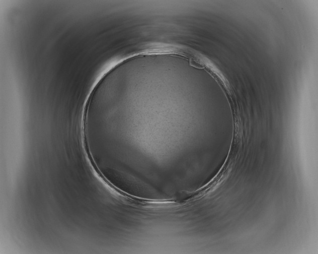 X0000115451487200911121144