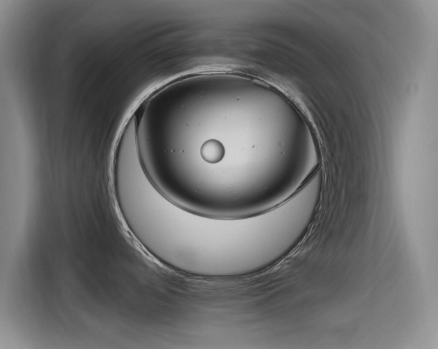 X0000115451488200911121144