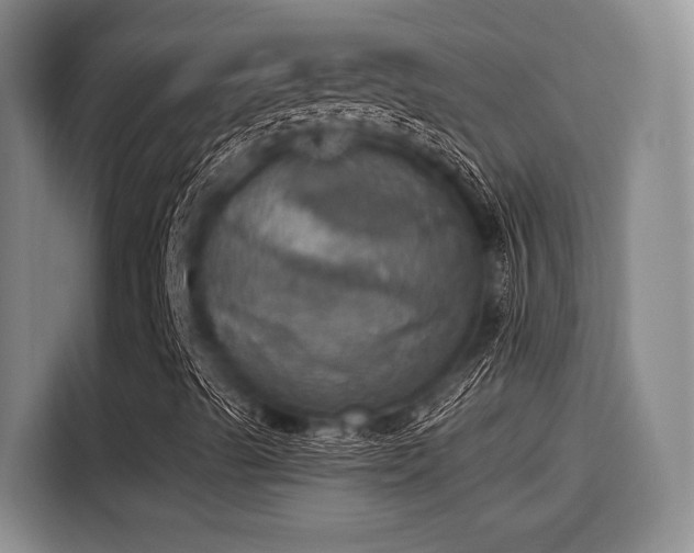 X0000115451489200911121143