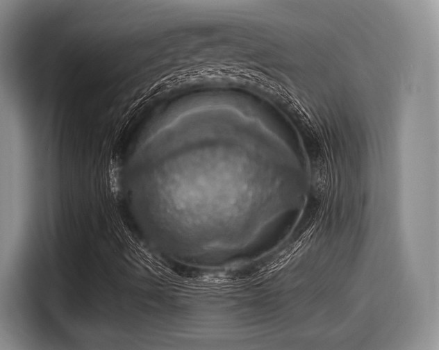 X0000115451490200911121143