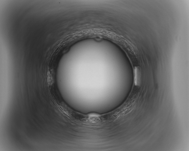 X0000115451491200911121143