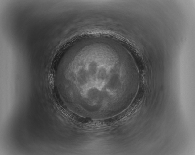 X0000115451493200911121143