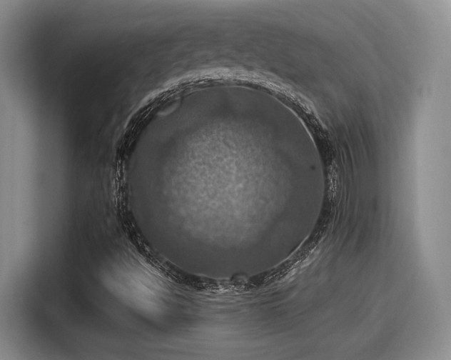X0000115451494200911121143