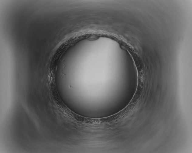X0000115451495200911121143