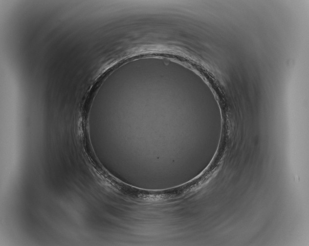 X0000115451497200911121143