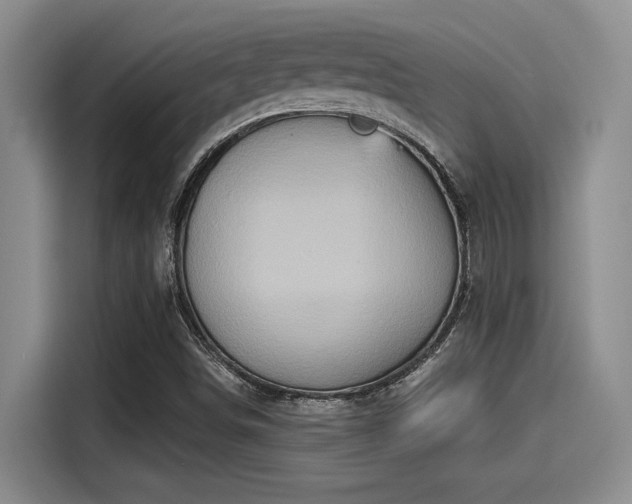 X0000115451498200911121143
