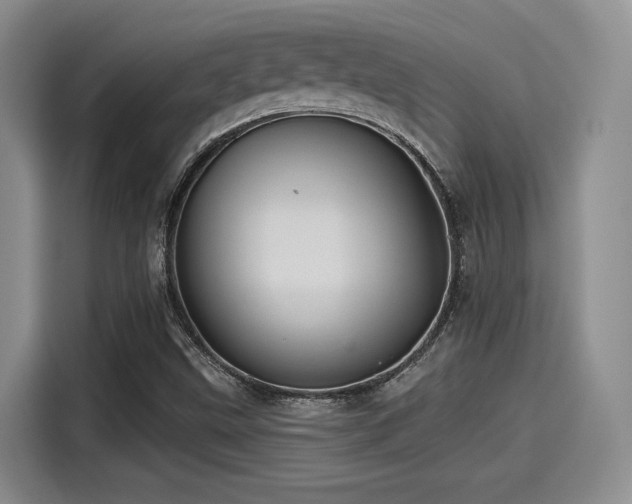 X0000115451499200911121143