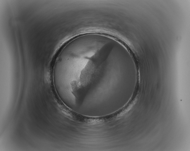 X0000115451501200911121143