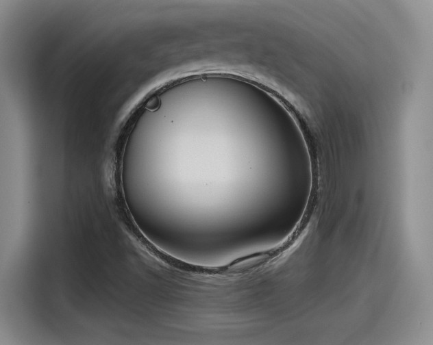X0000115451502200911121143