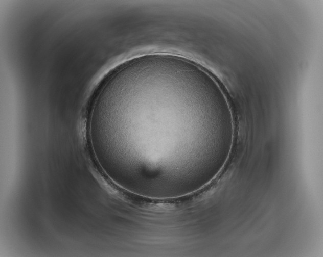 X0000115451503200911121143