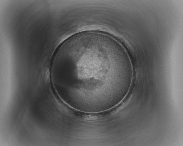 X0000115451505200911121143
