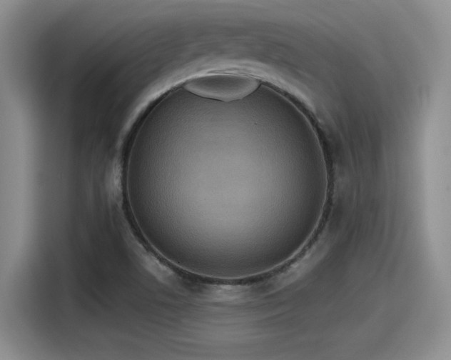 X0000115451506200911121143
