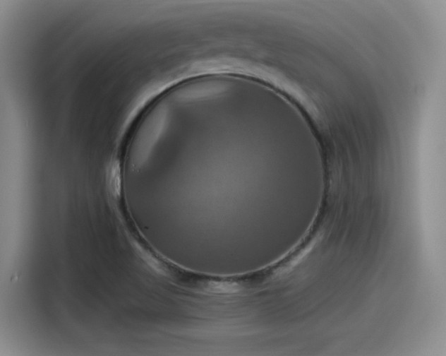 X0000115451509200911121143