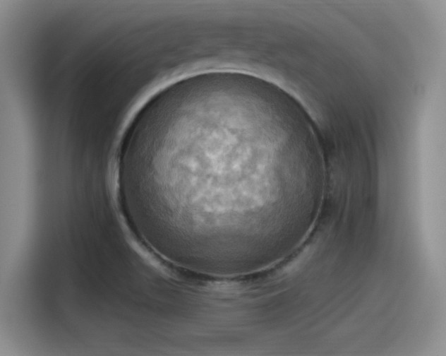 X0000115451511200911121143