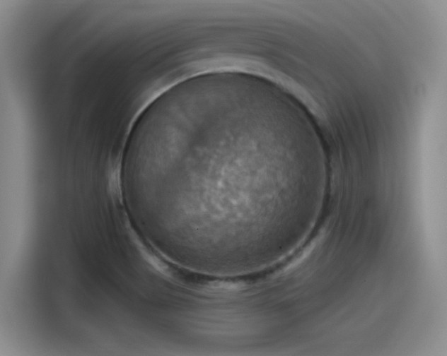 X0000115451513200911121143