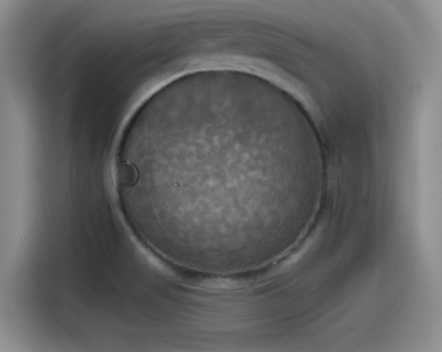 X0000115451517200911121143