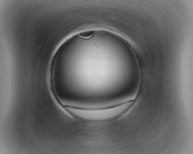 X0000115451518200911121143