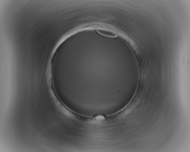 X0000115451522200911121143
