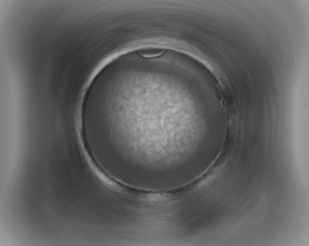 X0000115451523200911121143
