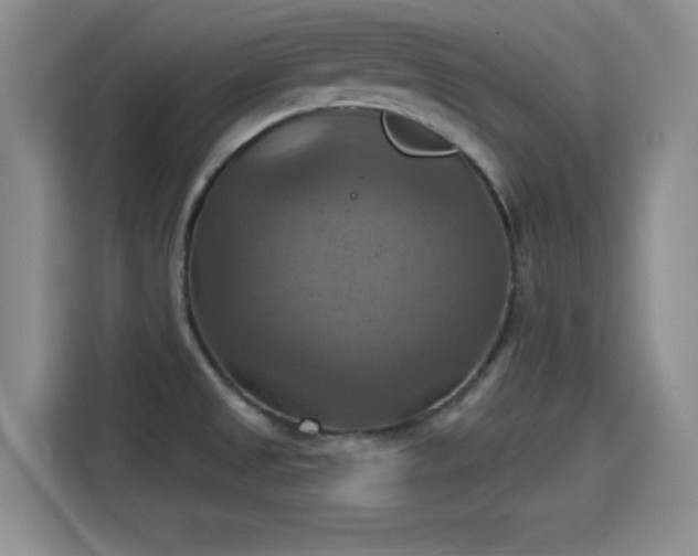 X0000115451525200911121143