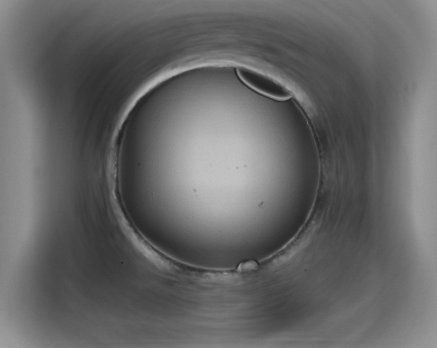 X0000115451526200911121143