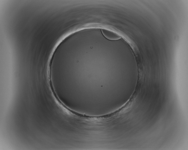 X0000115451527200911121143
