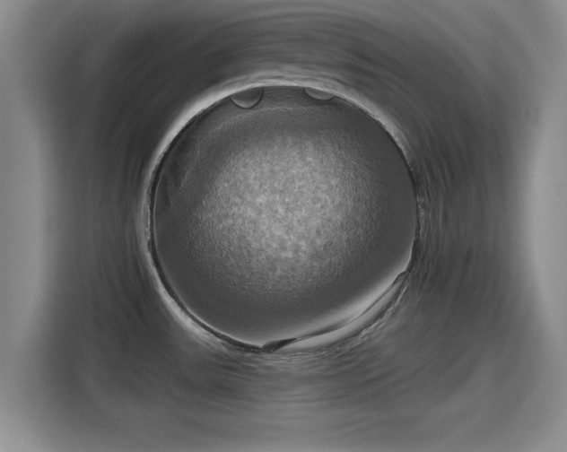 X0000115451531200911121144