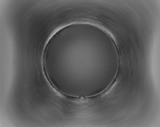 X0000115451533200911121144