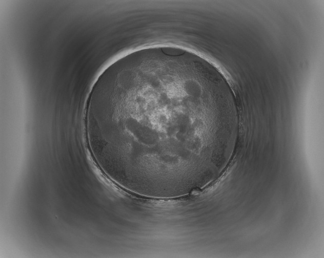 X0000115451534200911121144