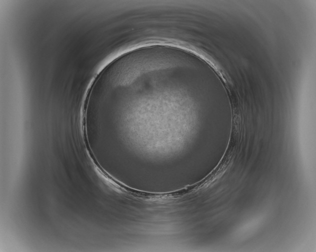 X0000115451535200911121144