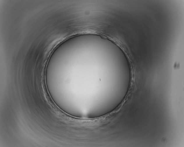 X0000115450001200911181558