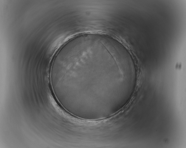 X0000115450002200911181558