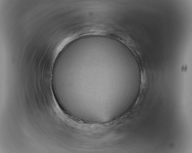 X0000115450003200911181558