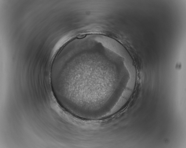 X0000115450004200911181558