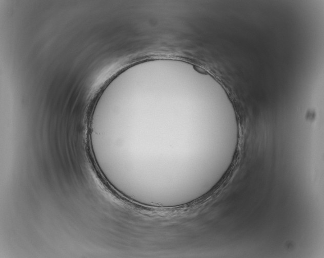 X0000115450005200911181558