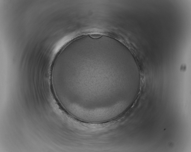 X0000115450006200911181558